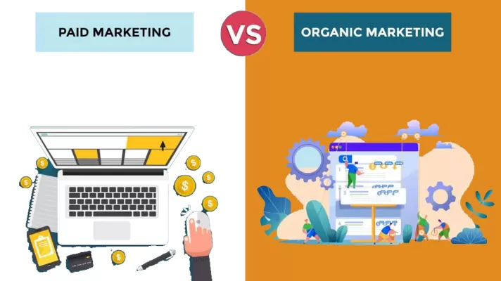 Organic Marketing vs. Paid Marketing